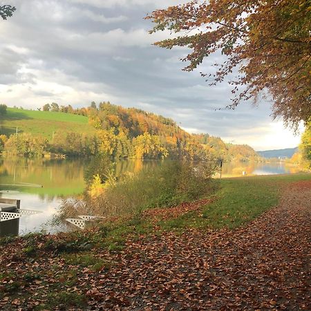 Charming Studio Near Rotsee Lucerne Kitchen/Wifi/Wasching Machine Buitenkant foto