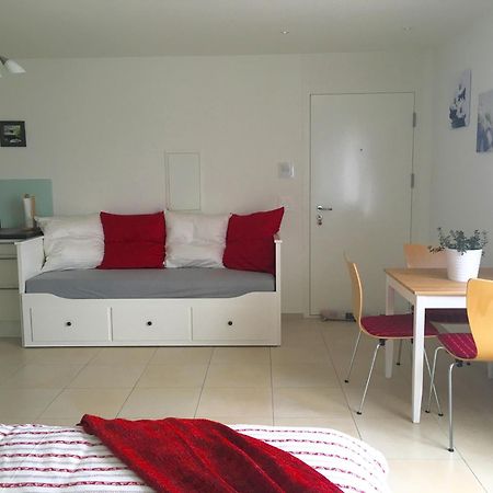 Charming Studio Near Rotsee Lucerne Kitchen/Wifi/Wasching Machine Appartement Buitenkant foto