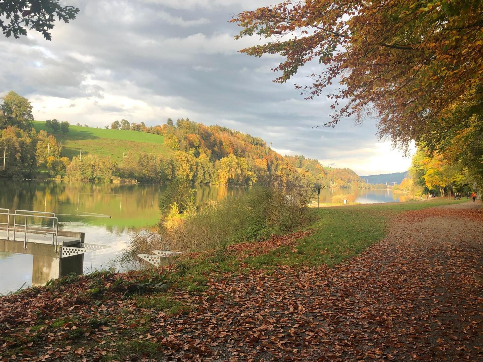 Charming Studio Near Rotsee Lucerne Kitchen/Wifi/Wasching Machine Buitenkant foto