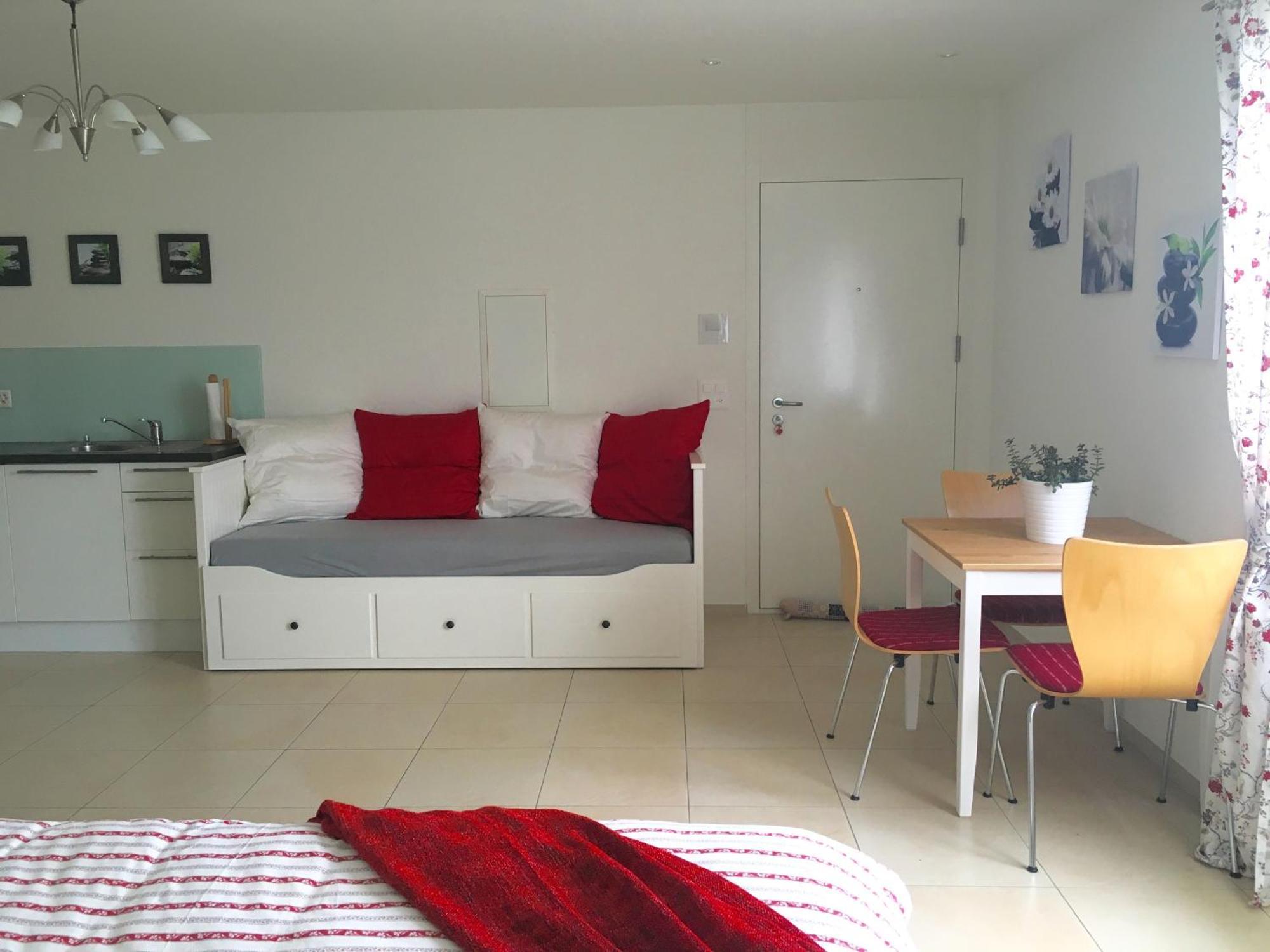 Charming Studio Near Rotsee Lucerne Kitchen/Wifi/Wasching Machine Appartement Buitenkant foto