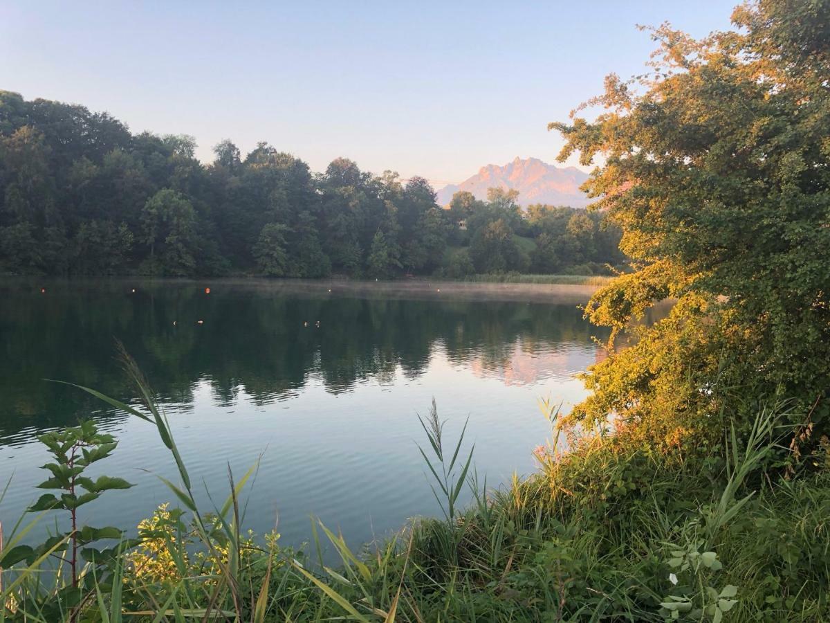 Charming Studio Near Rotsee Lucerne Kitchen/Wifi/Wasching Machine Buitenkant foto